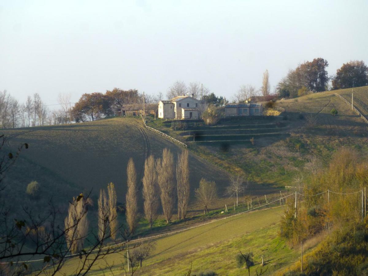 Locanda San Francesco Montecarotto Luaran gambar